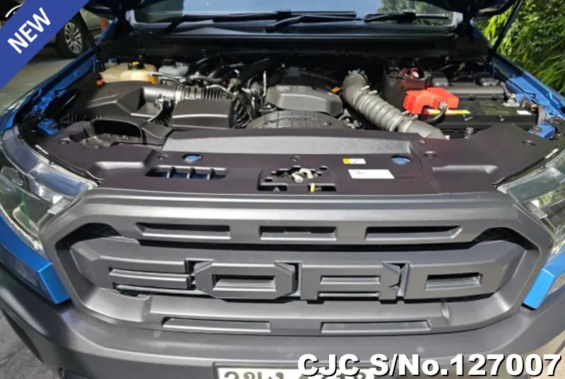 Ford Ranger in Blue for Sale Image 11