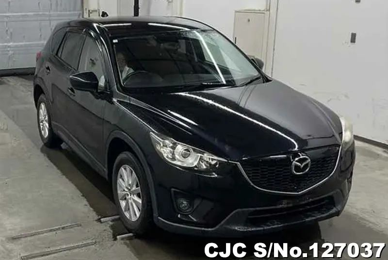 Mazda / CX-5 2012