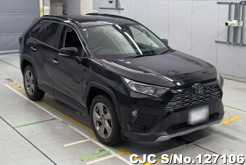 Toyota / Rav4 2019