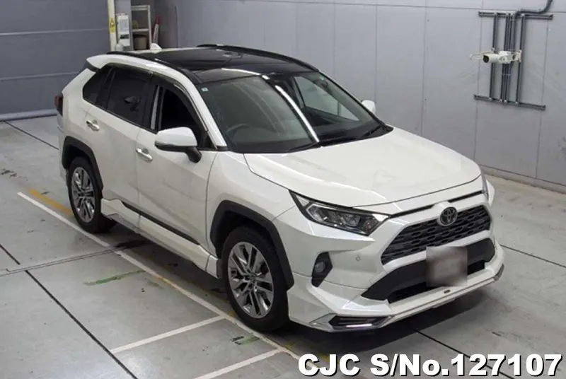 Toyota / Rav4 2019