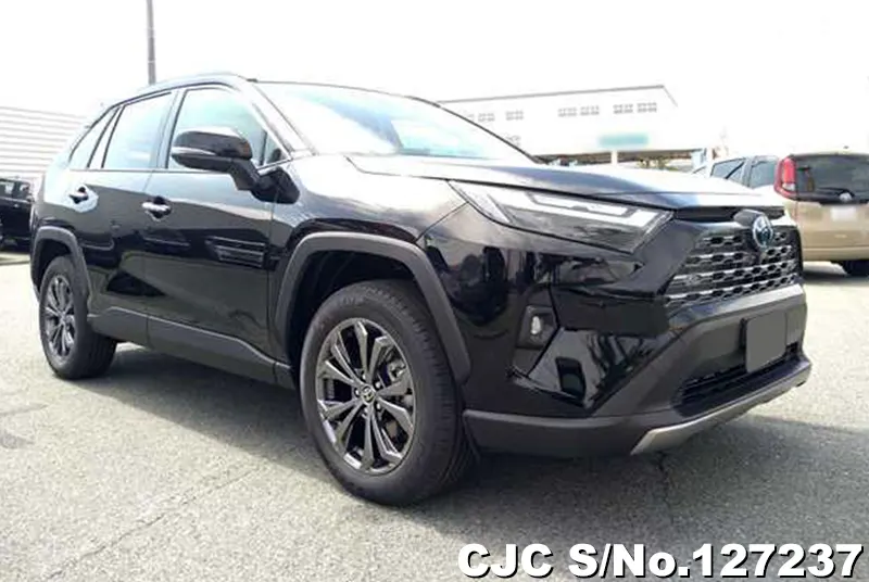 2025 Toyota / Rav4 Stock No. 127237