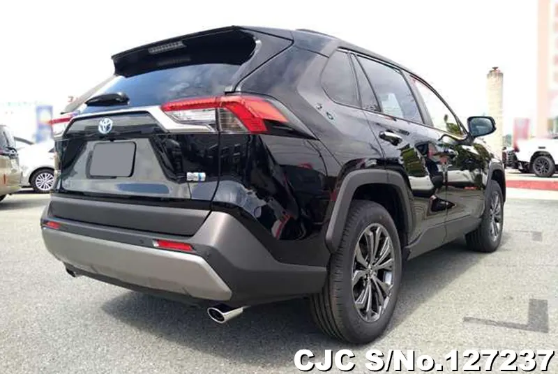 2025 Toyota / Rav4 Stock No. 127237