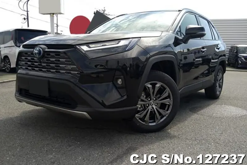 2025 Toyota / Rav4 Stock No. 127237