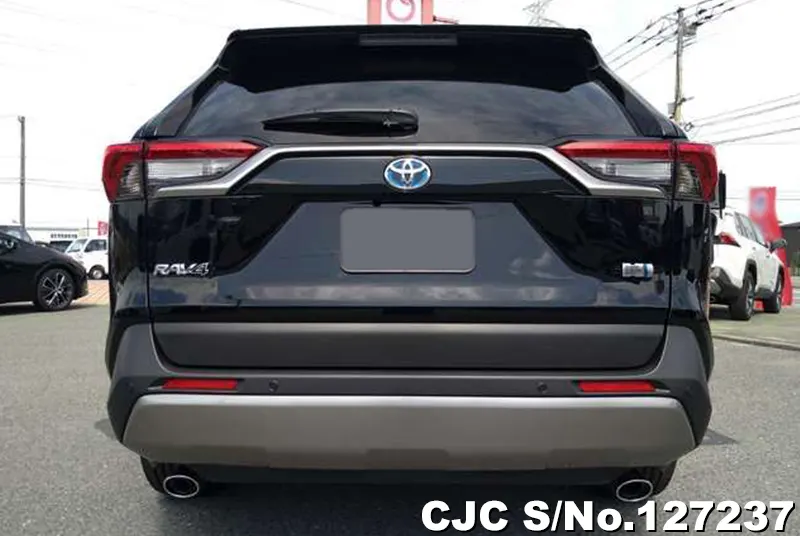 2025 Toyota / Rav4 Stock No. 127237