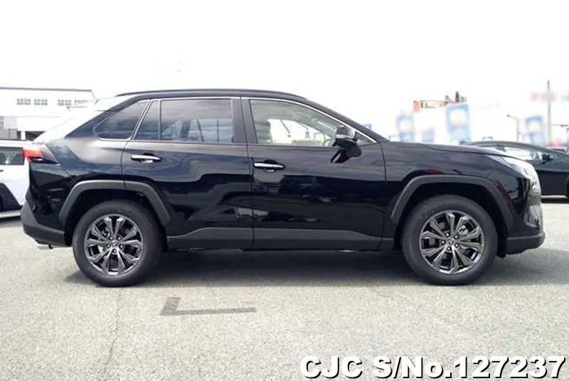 2025 Toyota / Rav4 Stock No. 127237