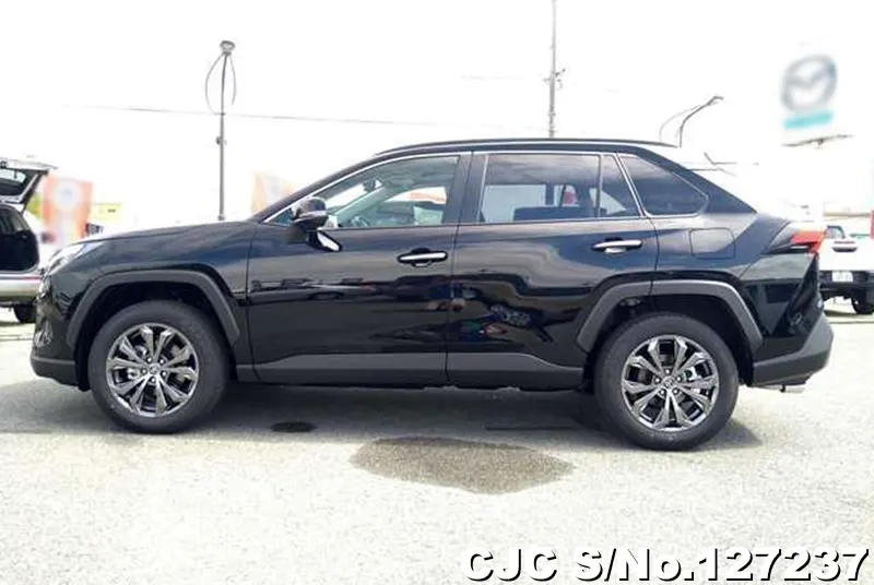 2025 Toyota / Rav4 Stock No. 127237