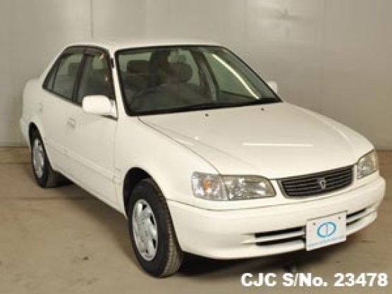 1998 Toyota / Corolla Stock No. 23478