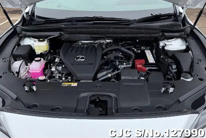 2025 Lexus / RX 350 Stock No. 127990