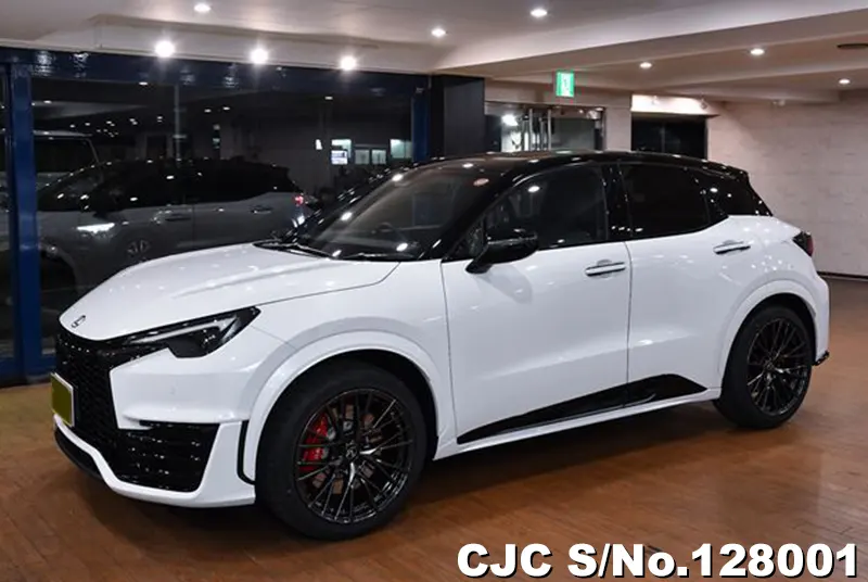 2025 Lexus / LBX Stock No. 128001