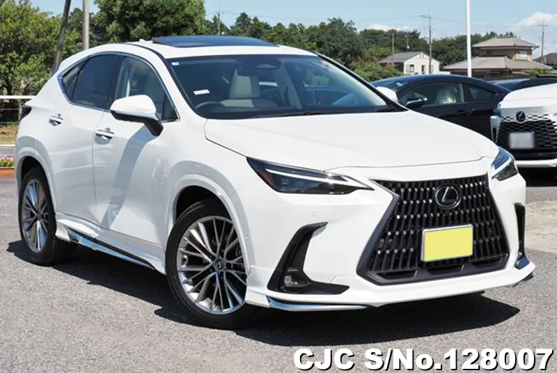 2025 Lexus / NX 350H Stock No. 128007