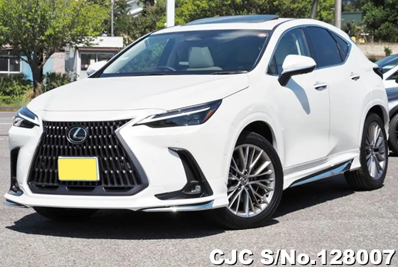 2025 Lexus / NX 350H Stock No. 128007