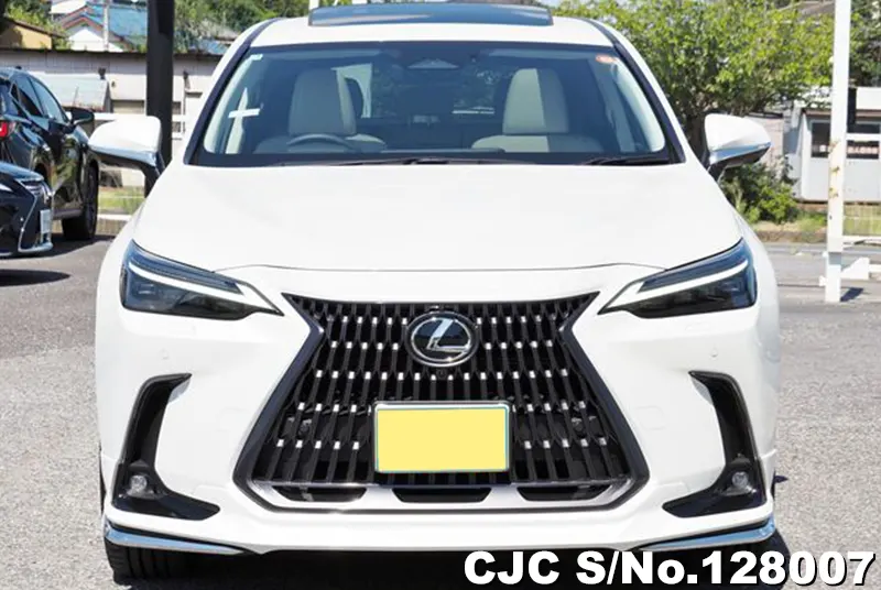 2025 Lexus / NX 350H Stock No. 128007