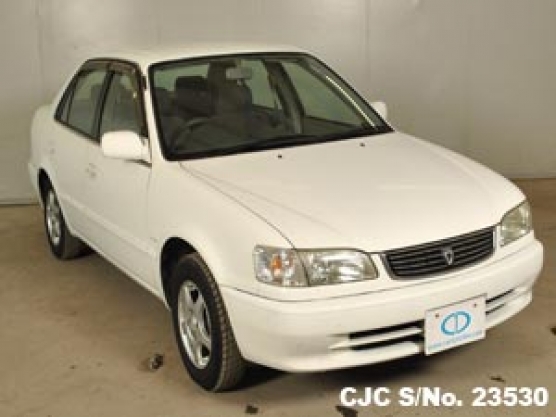 1999 Toyota / Corolla Stock No. 23530