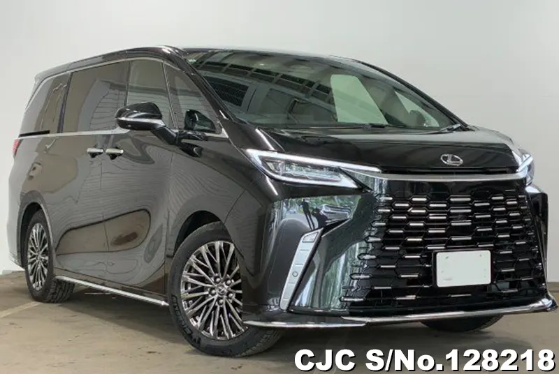 2025 Lexus / LM500h Stock No. 128218