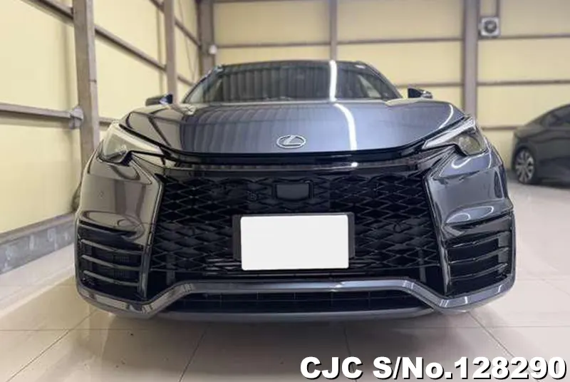 2025 Lexus / LBX Stock No. 128290