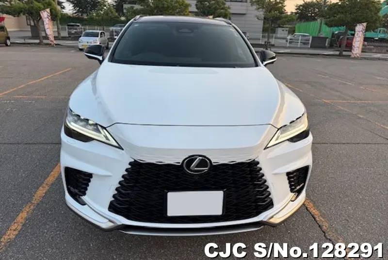 2025 Lexus / RX 350 Stock No. 128291