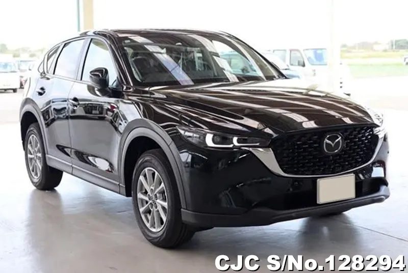 2024 Mazda / CX-5 Stock No. 128294