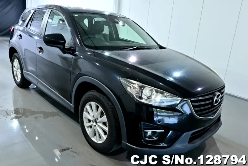 2012 Mazda / CX-5 Stock No. 128794