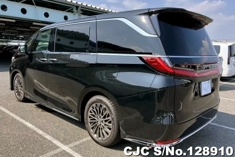 2025 Lexus / LM500h Stock No. 128910