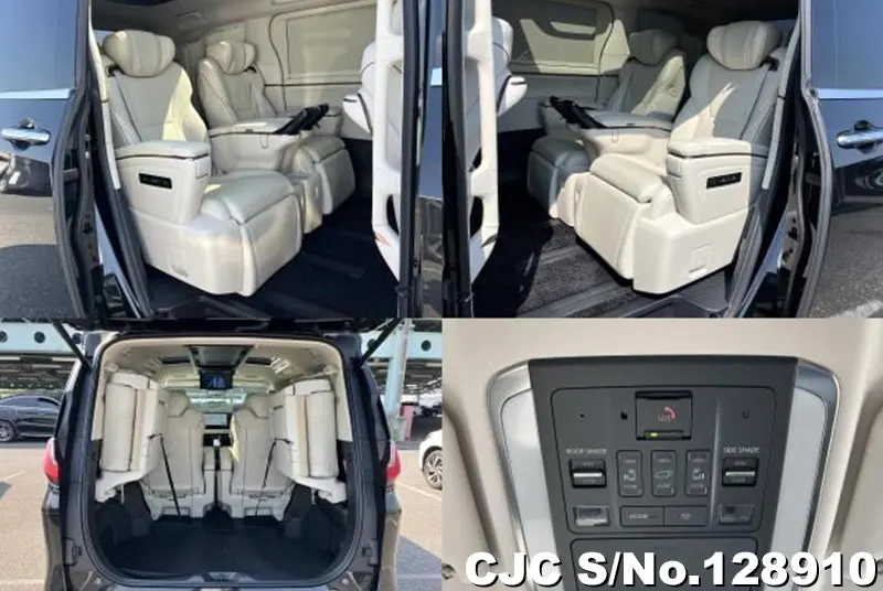 2025 Lexus / LM500h Stock No. 128910