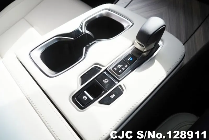 2025 Lexus / LM500h Stock No. 128911