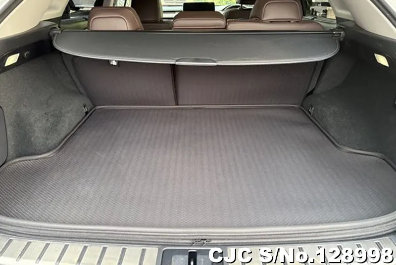 2022 Lexus / RX 300 Stock No. 128998