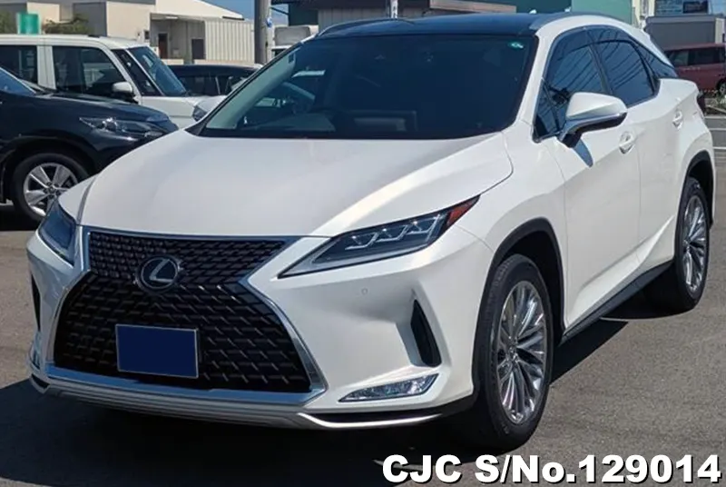 Lexus / RX 300 2021