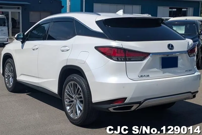 2021 Lexus / RX 300 Stock No. 129014