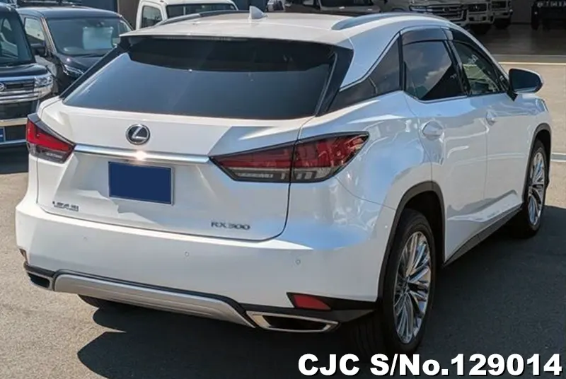 2021 Lexus / RX 300 Stock No. 129014