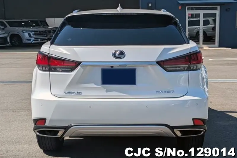 2021 Lexus / RX 300 Stock No. 129014