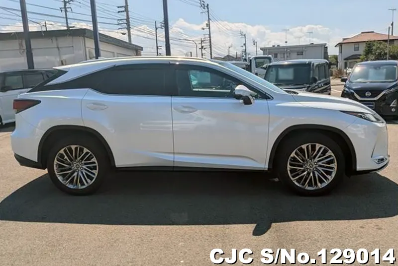2021 Lexus / RX 300 Stock No. 129014