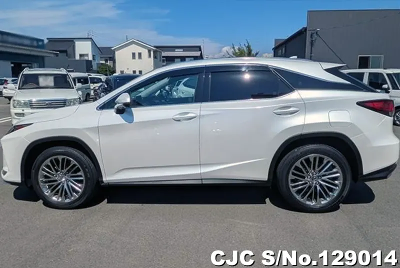 2021 Lexus / RX 300 Stock No. 129014