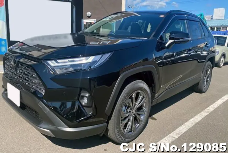 2025 Toyota / Rav4 Stock No. 129085