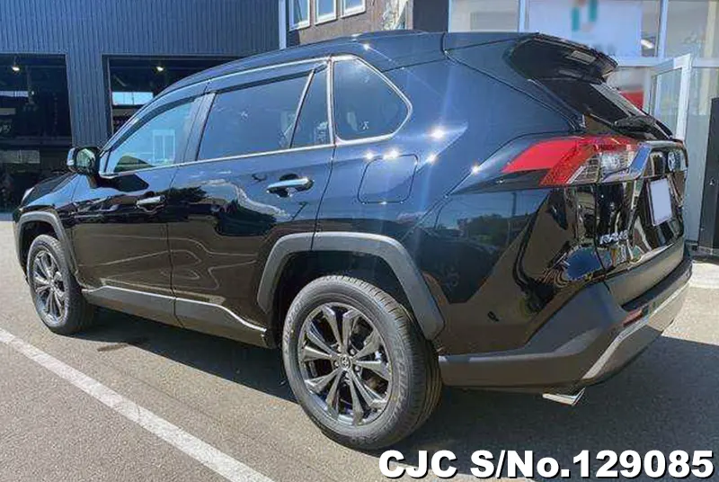 2025 Toyota / Rav4 Stock No. 129085