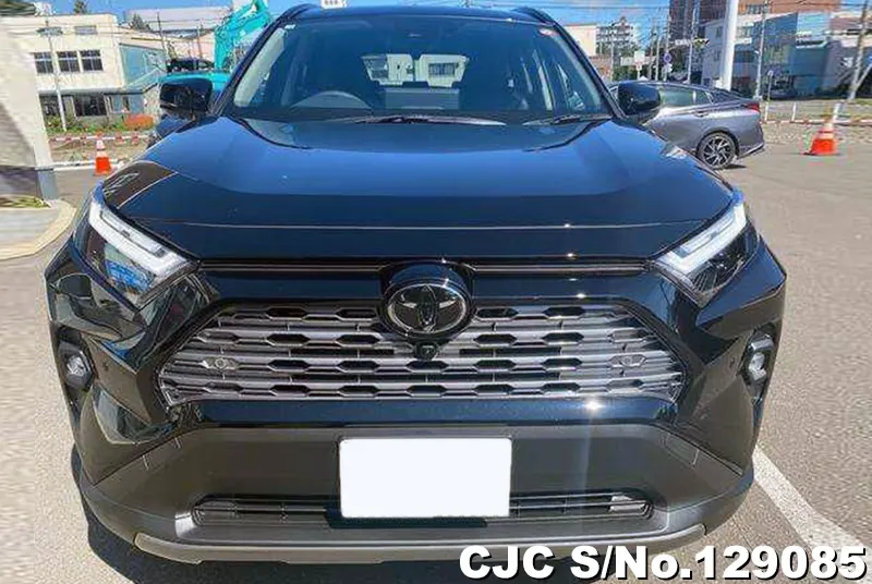 2025 Toyota / Rav4 Stock No. 129085