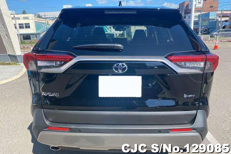2025 Toyota / Rav4 Stock No. 129085