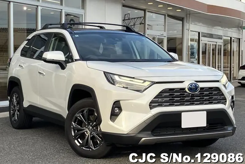 Toyota / Rav4 2024
