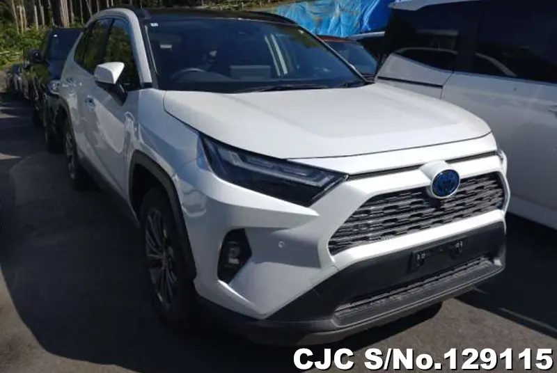 Toyota / Rav4 2024