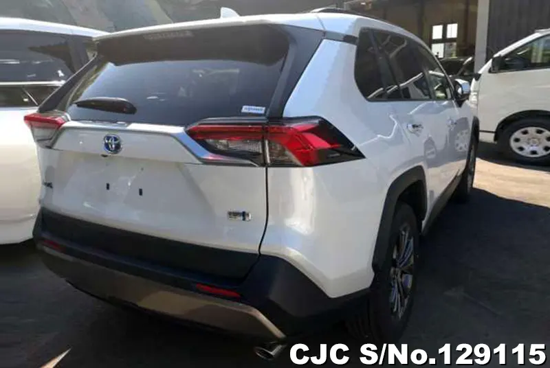 2024 Toyota / Rav4 Stock No. 129115