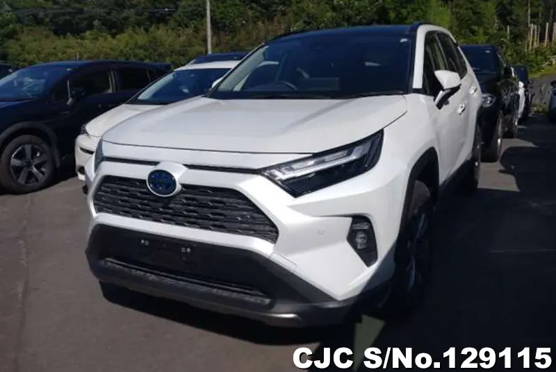 2024 Toyota / Rav4 Stock No. 129115