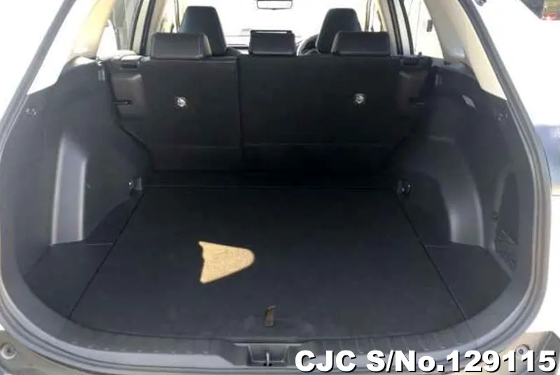 2024 Toyota / Rav4 Stock No. 129115