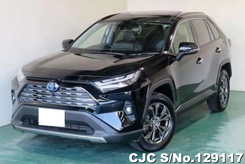 2024 Toyota / Rav4 Stock No. 129117