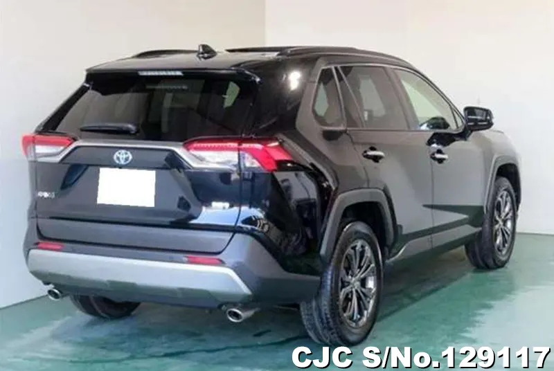 2024 Toyota / Rav4 Stock No. 129117