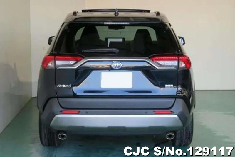 2024 Toyota / Rav4 Stock No. 129117