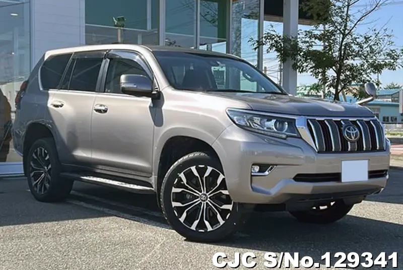 2018 Toyota / Land Cruiser Prado Stock No. 129341