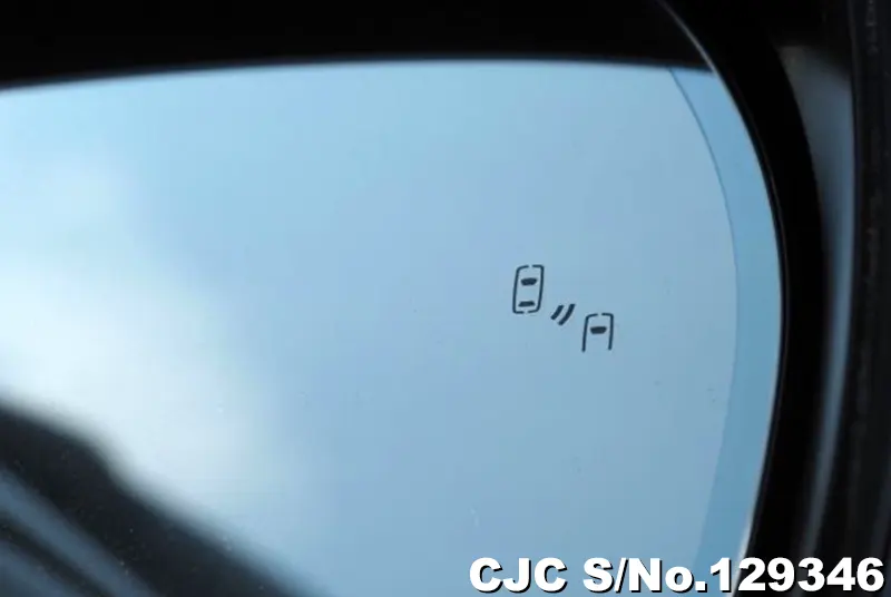 2019 Toyota / Land Cruiser Stock No. 129346