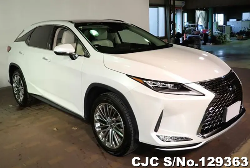 2021 Lexus / RX 300 Stock No. 129363