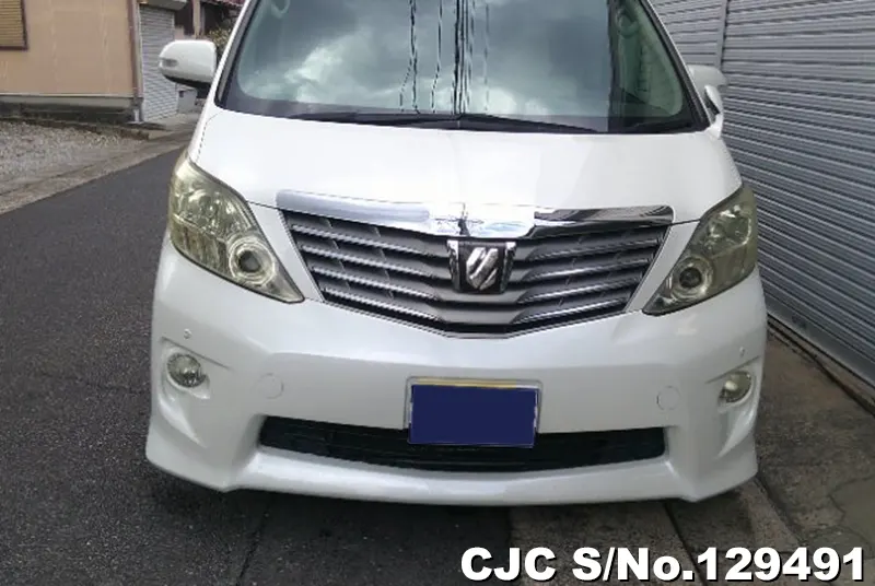 2011 Toyota / Alphard Stock No. 129491