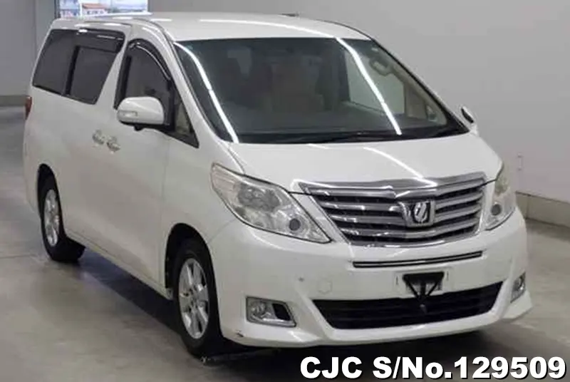 2013 Toyota / Alphard Stock No. 129509