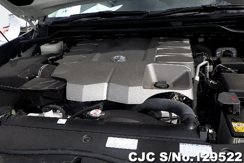 2020 Toyota / Land Cruiser Stock No. 129522